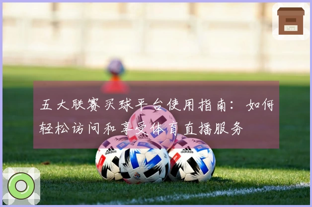 五大联赛买球平台使用指南：如何轻松访问和享受体育直播服务