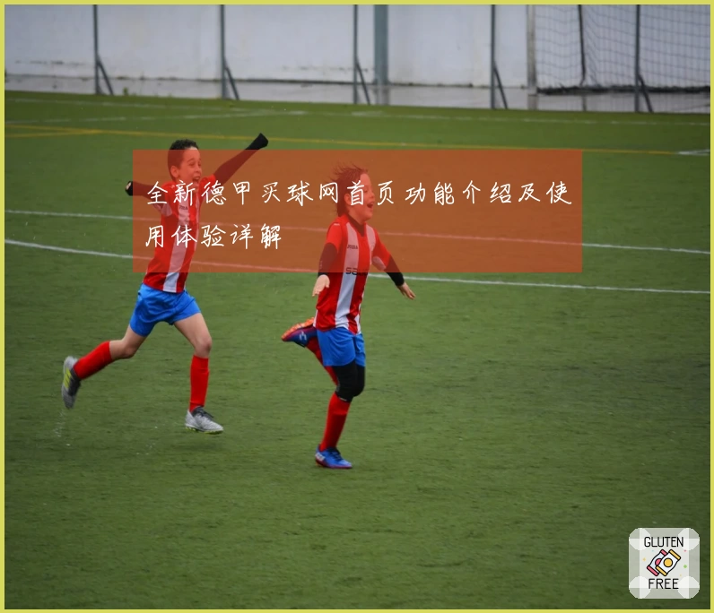 全新德甲买球网首页功能介绍及使用体验详解
