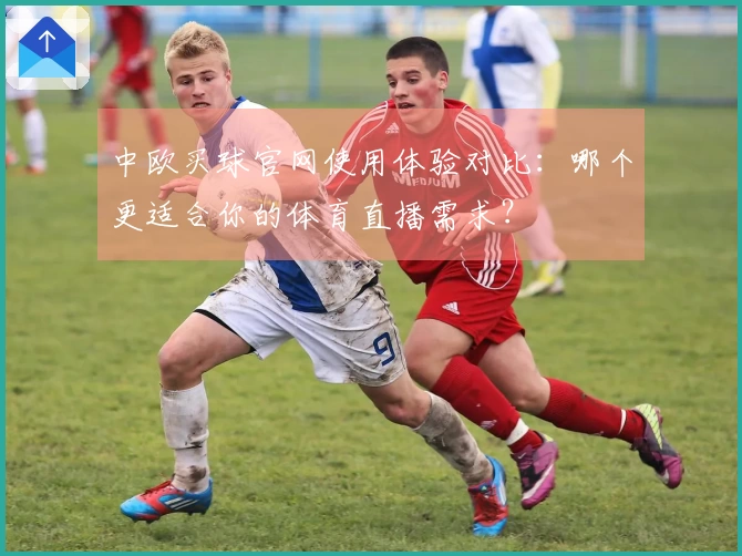 中欧买球官网使用体验对比：哪个更适合你的体育直播需求？
