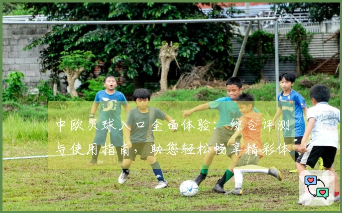 中欧买球入口全面体验：综合评测与使用指南，助您轻松畅享精彩体育赛事