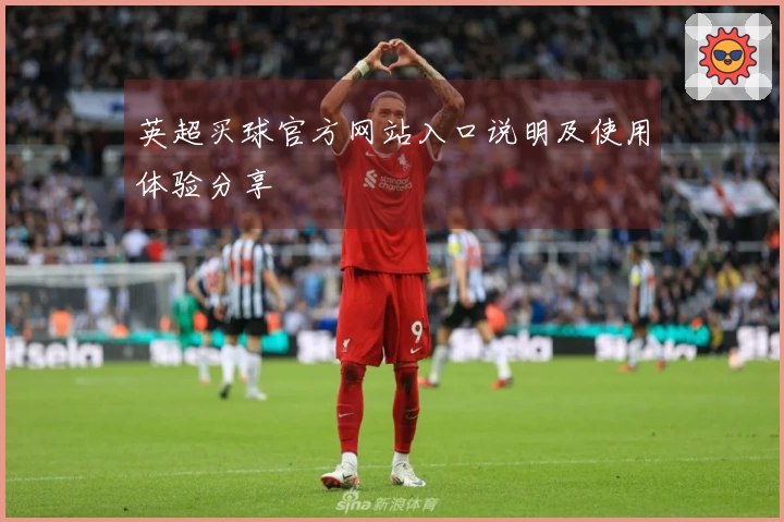 英超买球官方网站入口说明及使用体验分享
