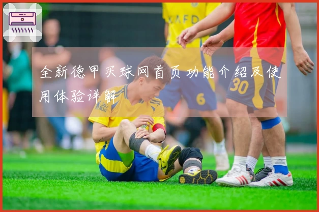 全新德甲买球网首页功能介绍及使用体验详解