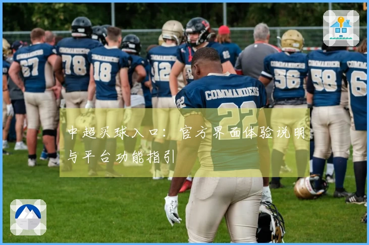 中超买球入口：官方界面体验说明与平台功能指引