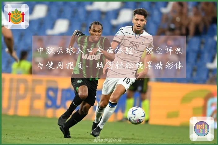 中欧买球入口全面体验:综合评测与使用指南,助您轻松畅享精彩体育赛事